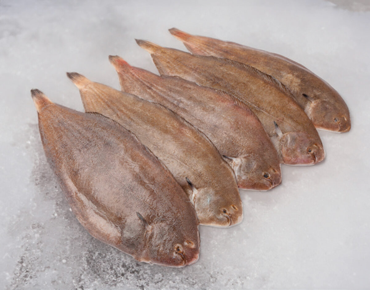 Fish cod