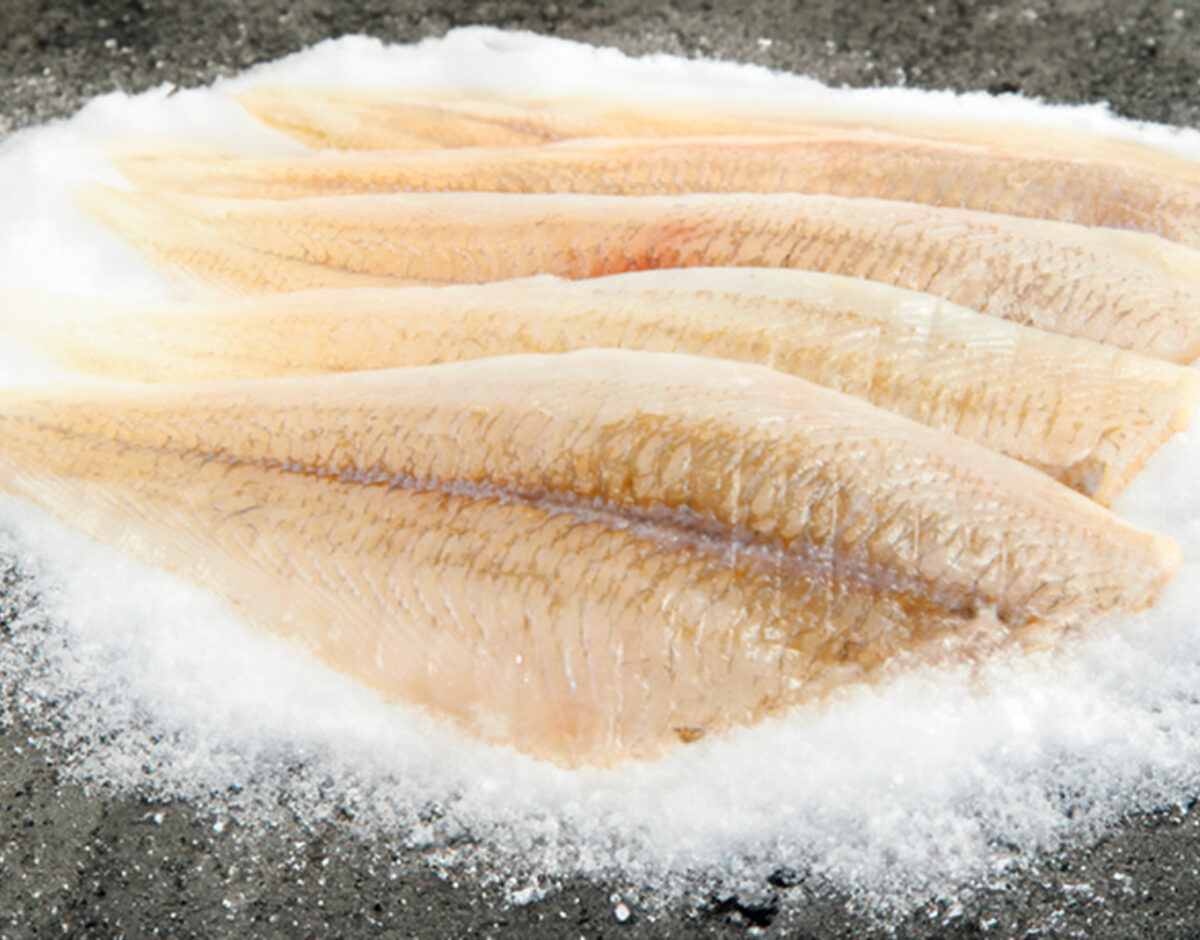 Fish fillet