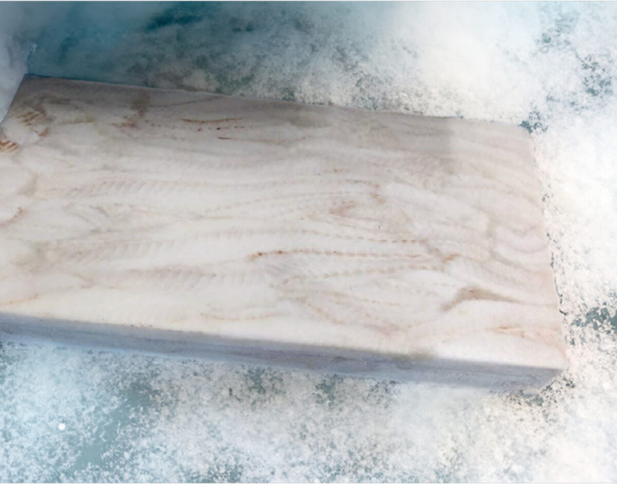 Fish frozen 2