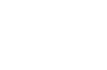 Pollock drawing transparent