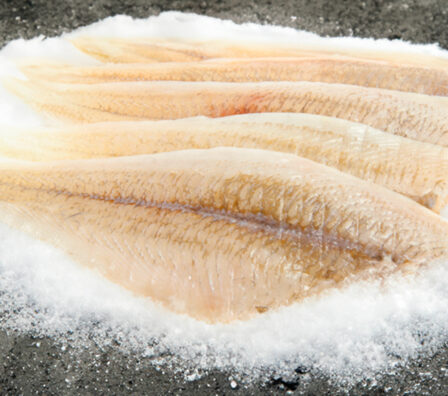 Fish fillet