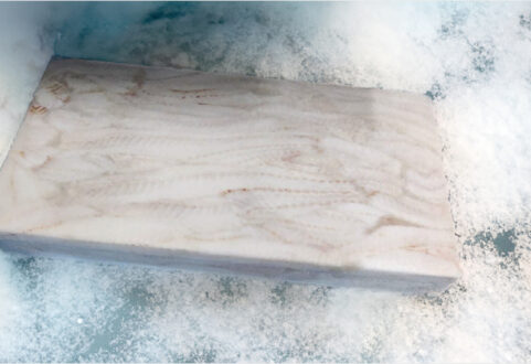 Fish frozen 2